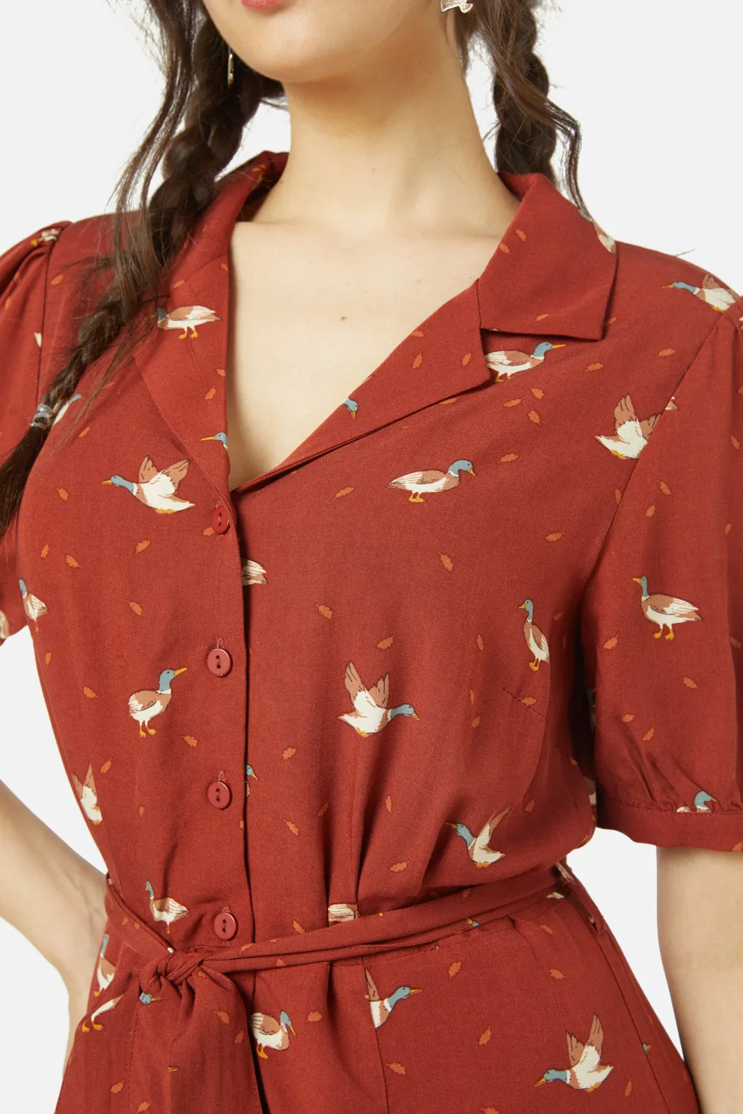 Duck Shirt Dress