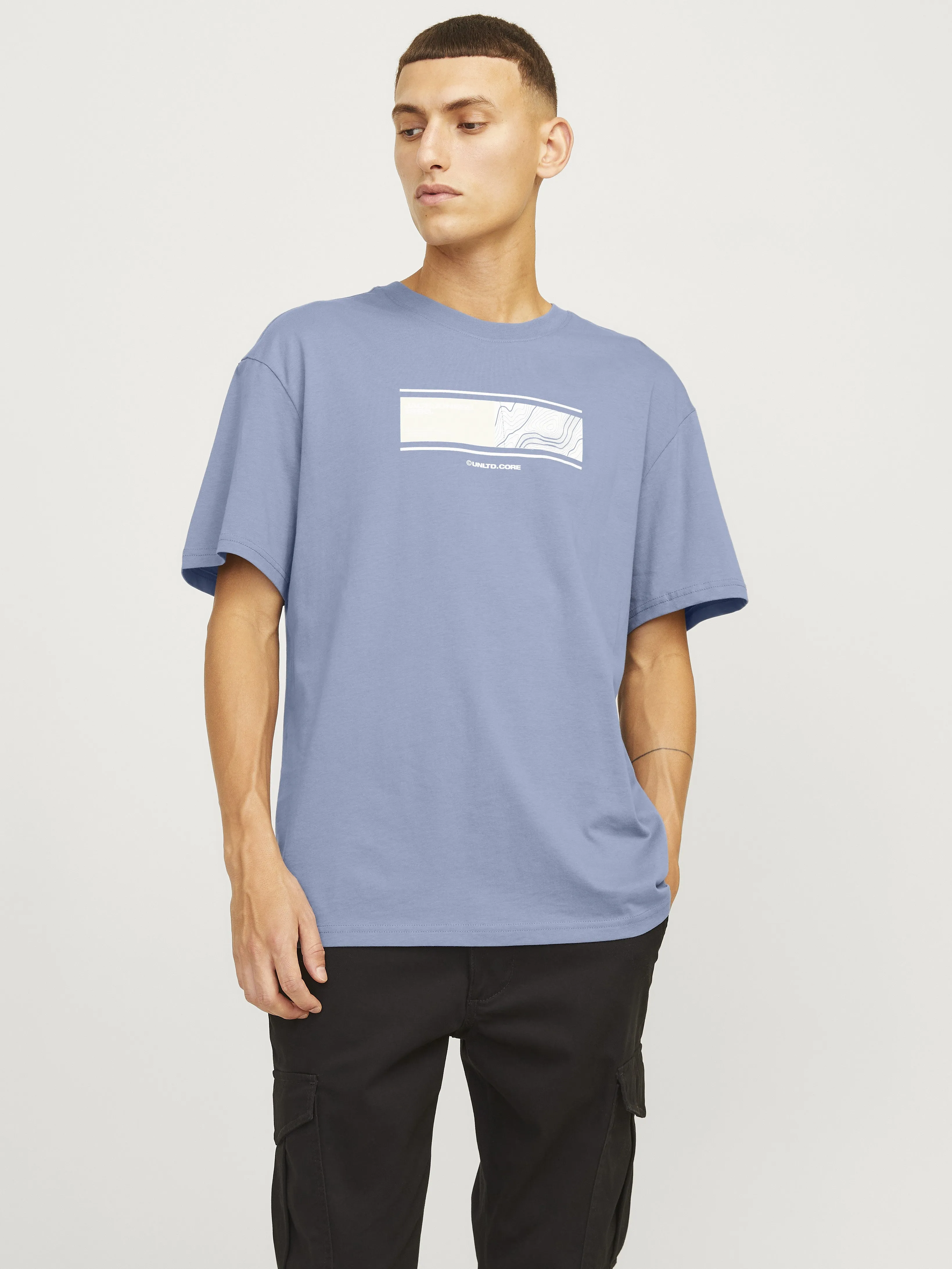 Jack & Jones Art Regular Fit 100% Cotton T-Shirt-FLINT