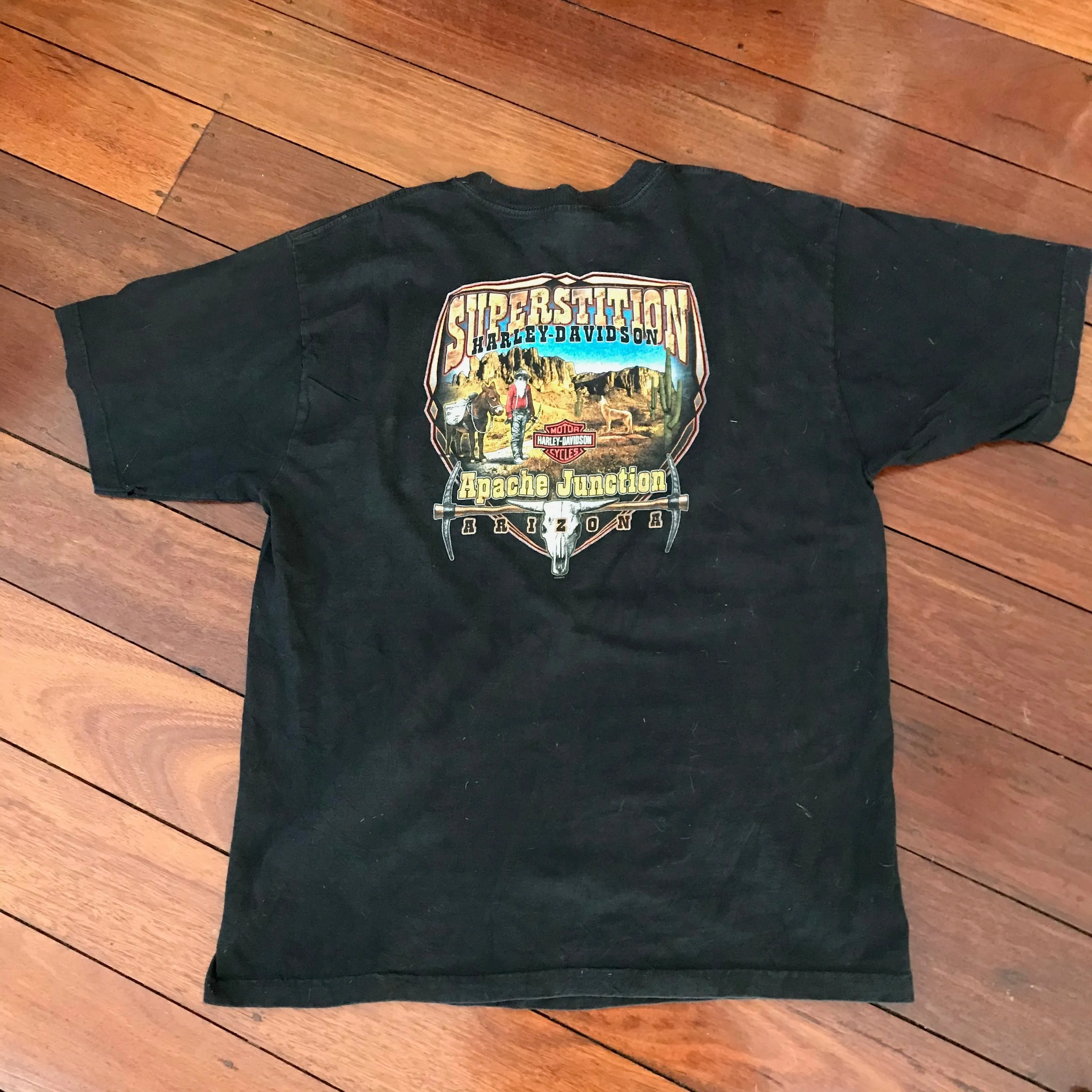 Vintage Harley T-Shirt